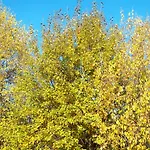 Гостевой дом Fernblick Санкт-Освальд