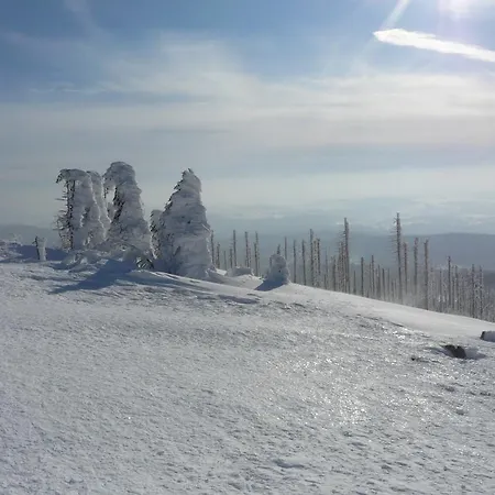 Fernblick 3*