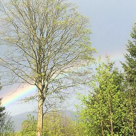 Fernblick Gasthof Sankt Oswald-Riedlhuette