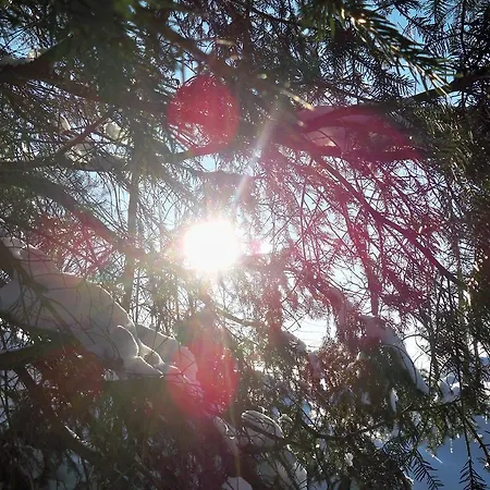 Fernblick בית הארחה 3*