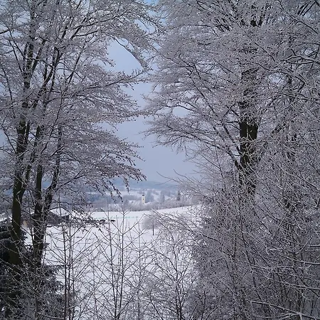 Fernblick