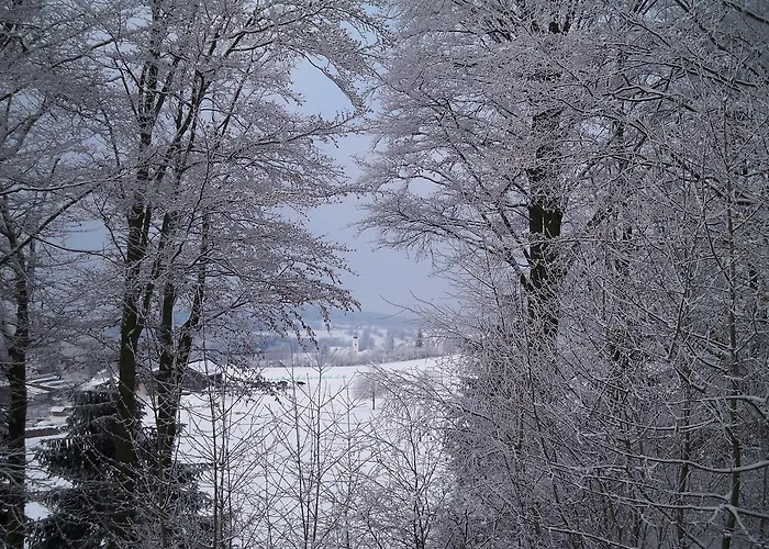 Fernblick
